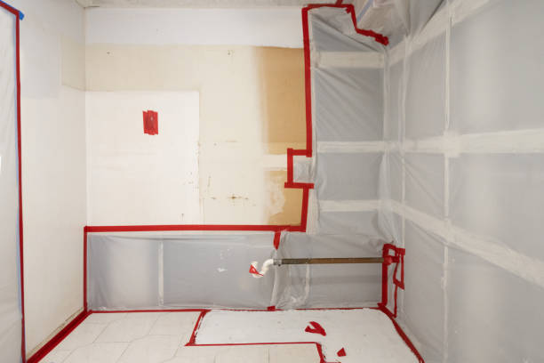  Salem, OR Mold Removal Pros