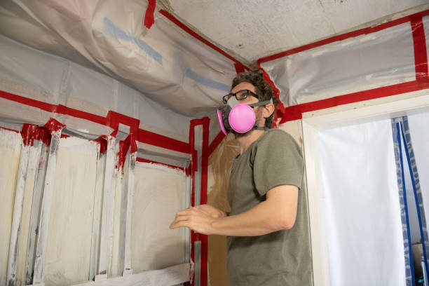 Best Black Mold Removal  in Salem, OR