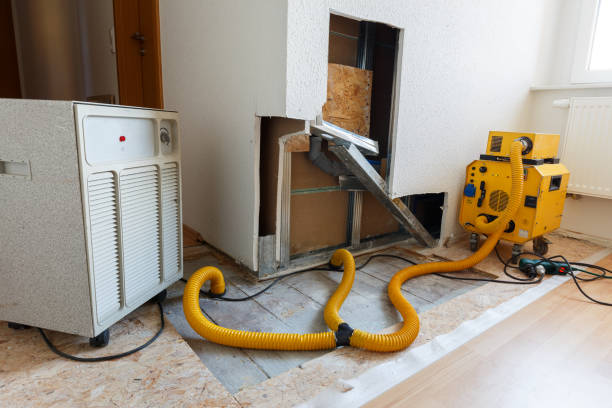 Best Dehumidification Services  in Salem, OR